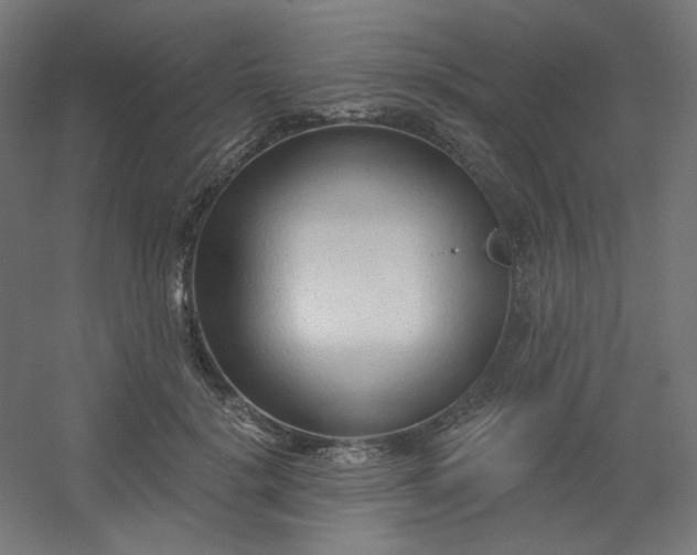 X0000054360652200508121515