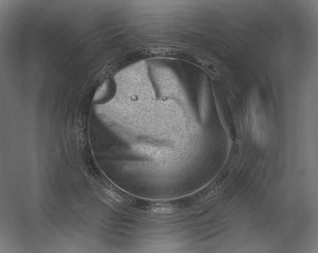 X0000054360653200508121515