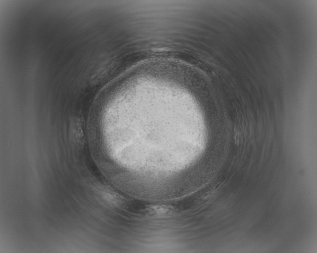 X0000054360654200508121515