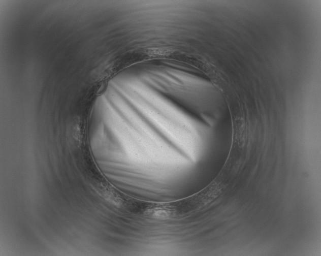 X0000054360655200508121515