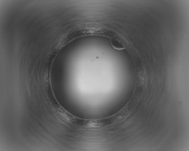 X0000054360657200508121515