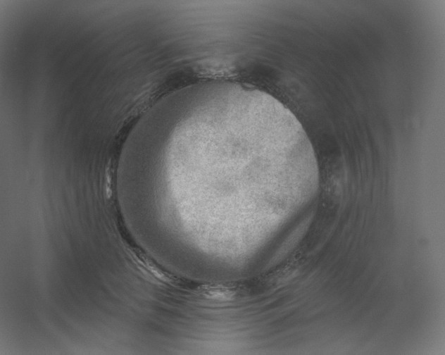 X0000054360658200508121515