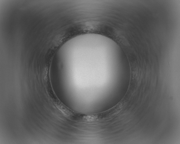 X0000054360660200508121515