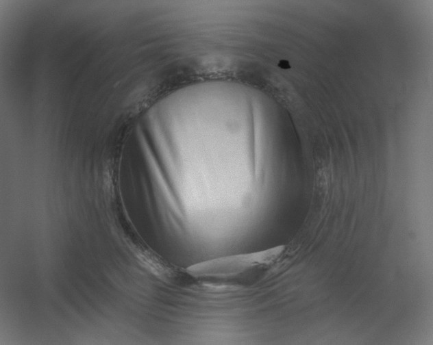 X0000054360662200508121515