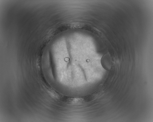 X0000054360663200508121515