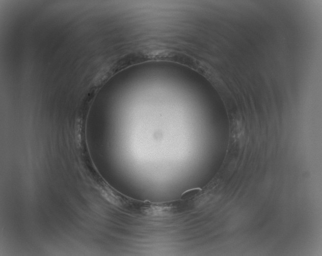 X0000054360664200508121515