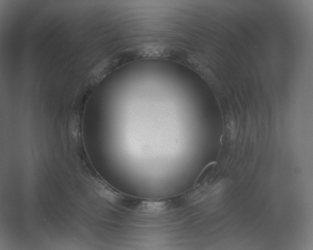 X0000054360665200508121515