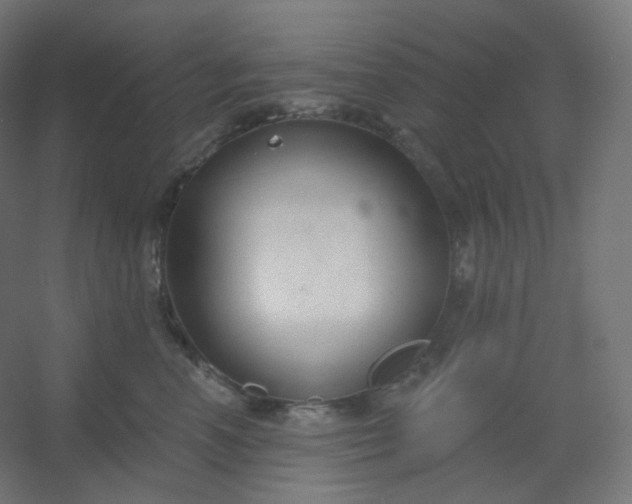 X0000054360666200508121515