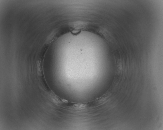 X0000054360667200508121515