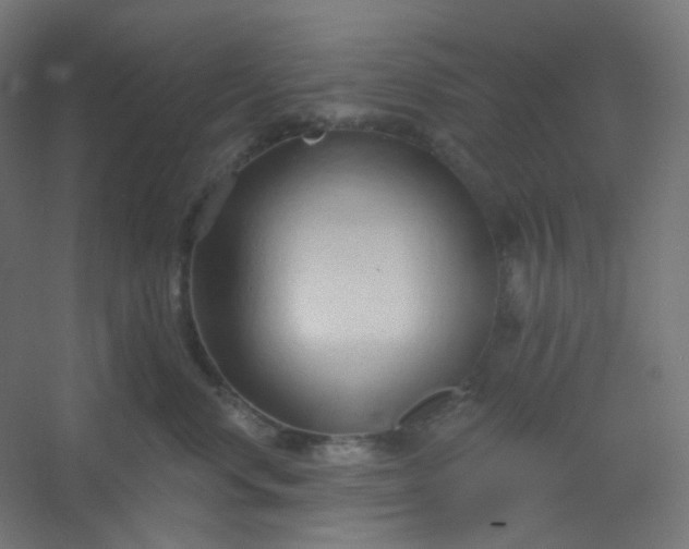 X0000054360668200508121515