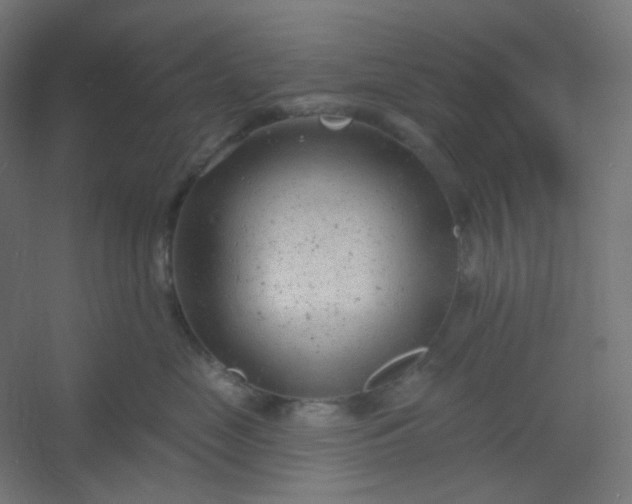 X0000054360669200508121515