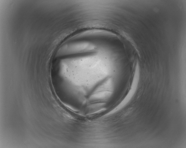X0000054360673200508121515