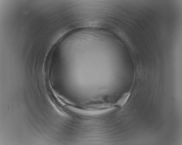 X0000054360674200508121515