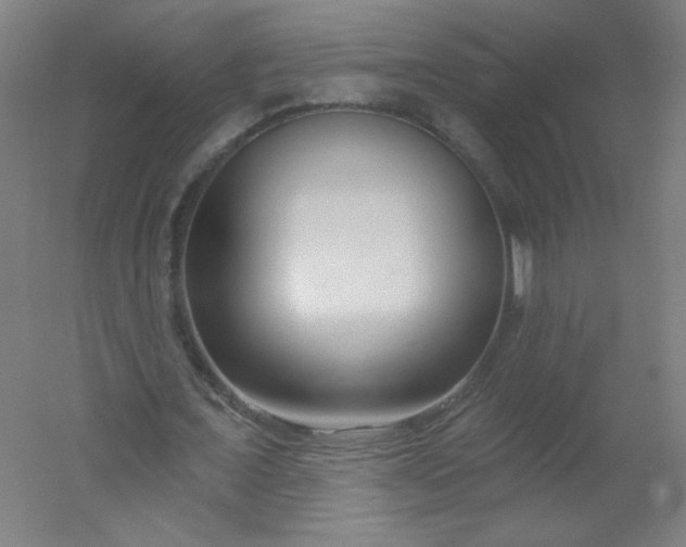 X0000054360675200508121515
