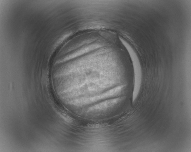 X0000054360679200508121515