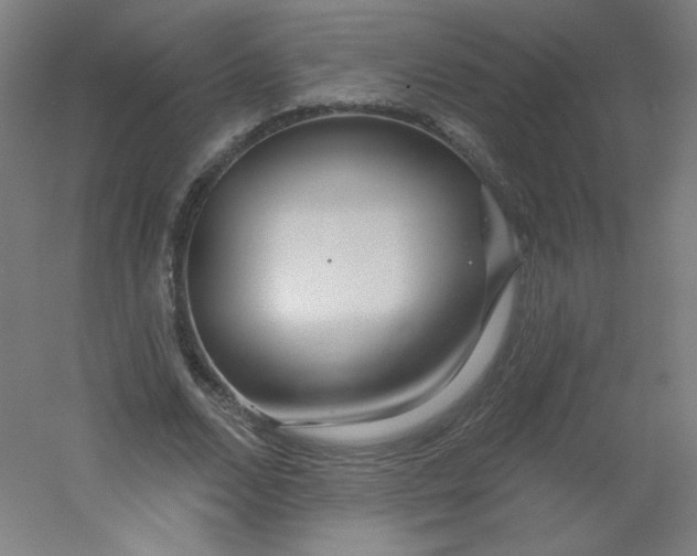 X0000054360680200508121515