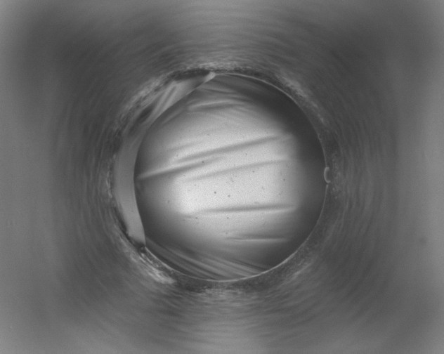 X0000054360681200508121514