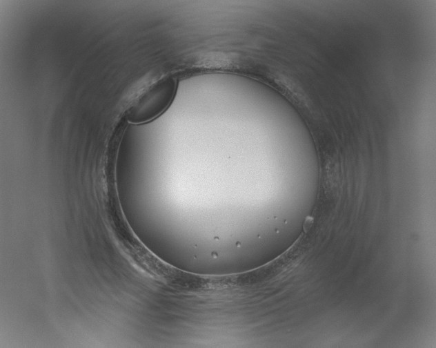 X0000054360682200508121514