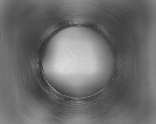 X0000054360683200508121514