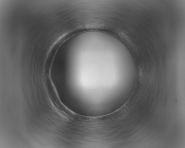 X0000054360684200508121514