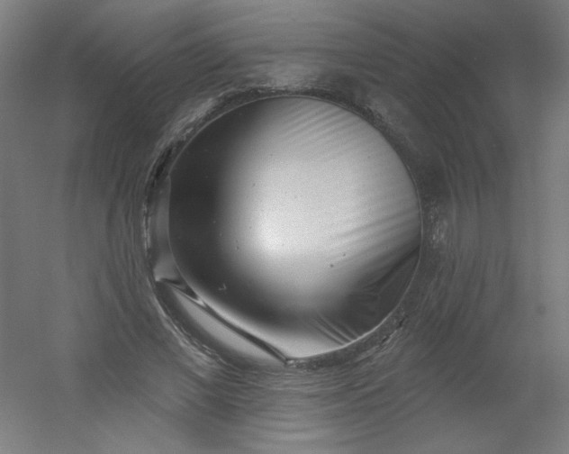 X0000054360685200508121514
