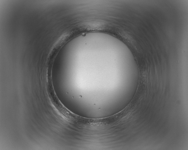 X0000054360686200508121514