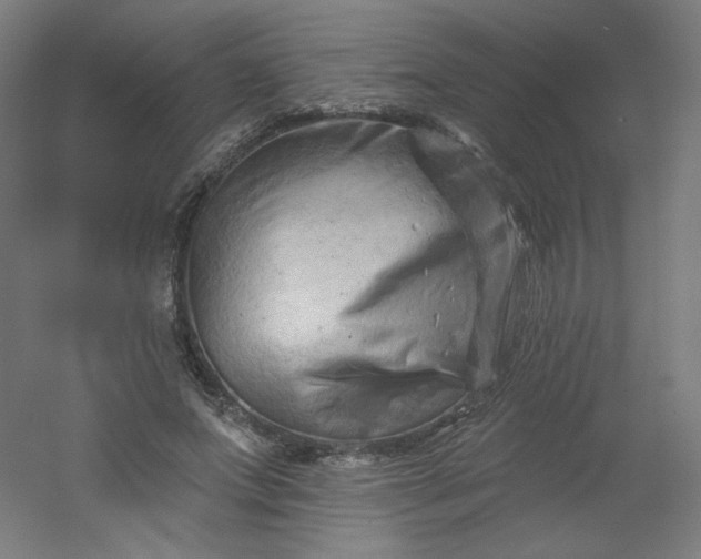 X0000054360687200508121514