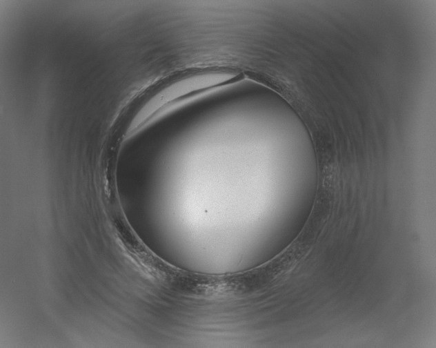 X0000054360688200508121514