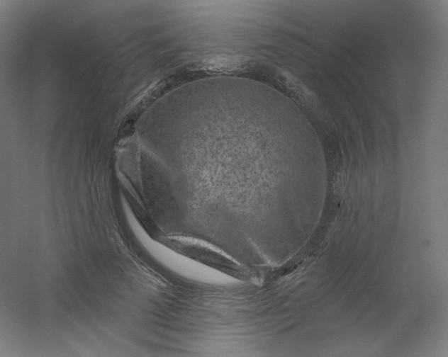 X0000054360689200508121514