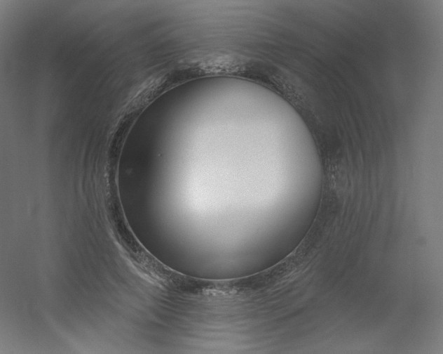 X0000054360690200508121514