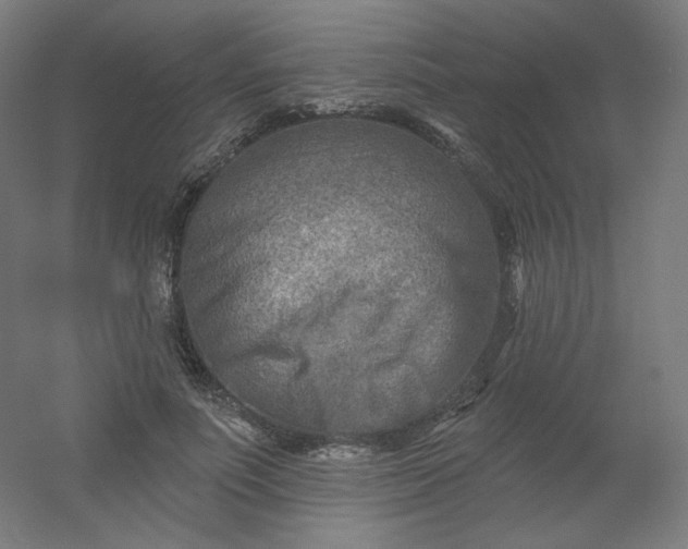 X0000054360691200508121514
