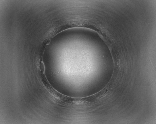 X0000054360693200508121514