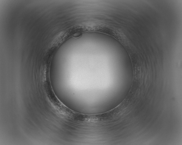 X0000054360694200508121514
