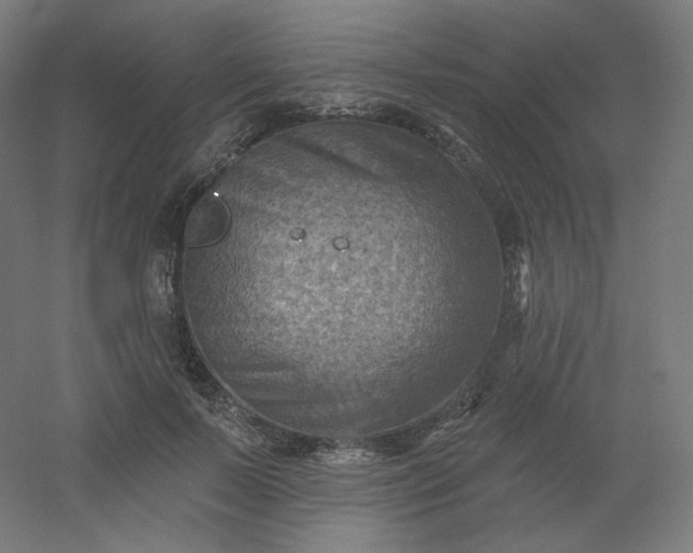 X0000054360695200508121514