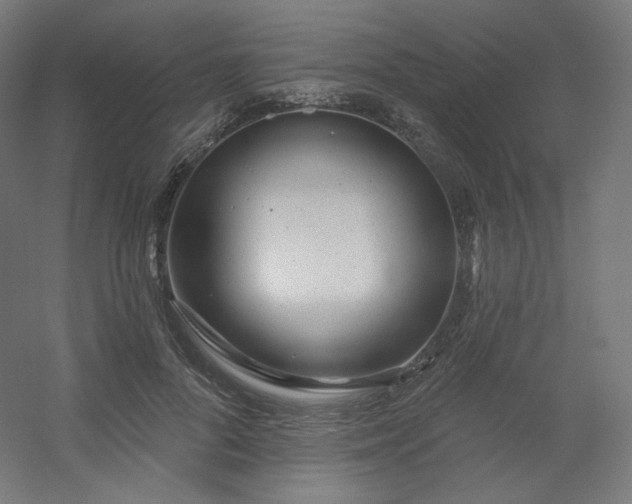 X0000054360696200508121514