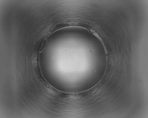 X0000054360697200508121514