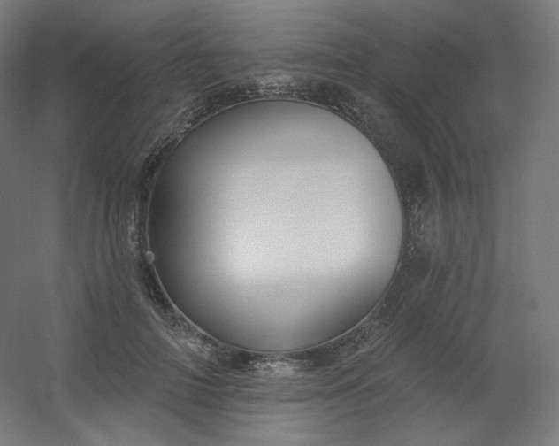 X0000054360698200508121514