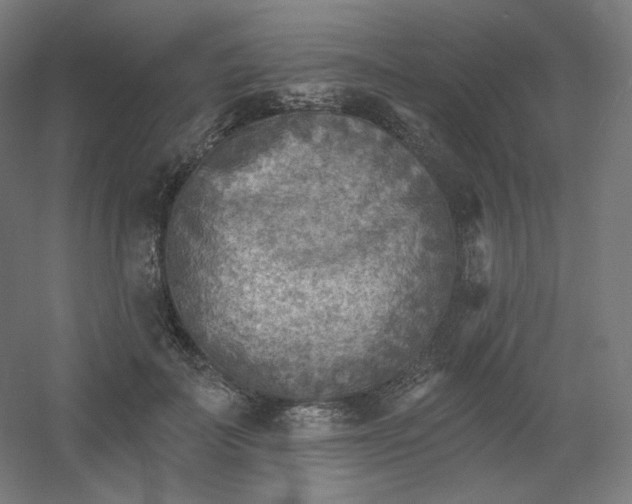 X0000054360699200508121514