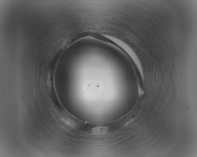 X0000054360700200508121514