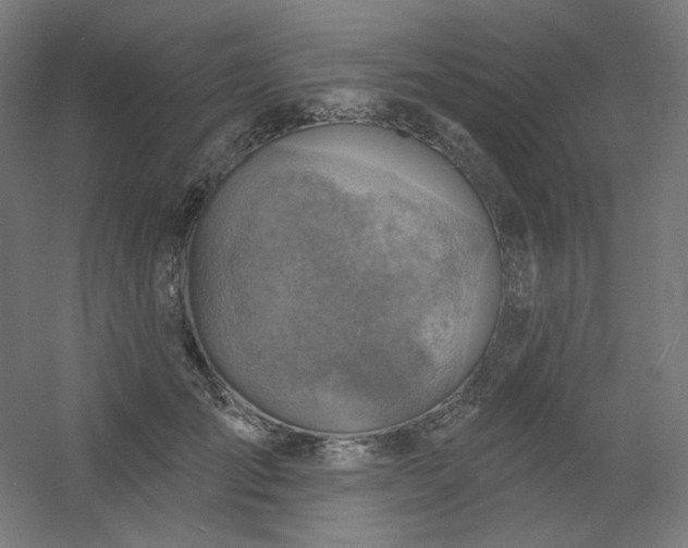 X0000054360701200508121514