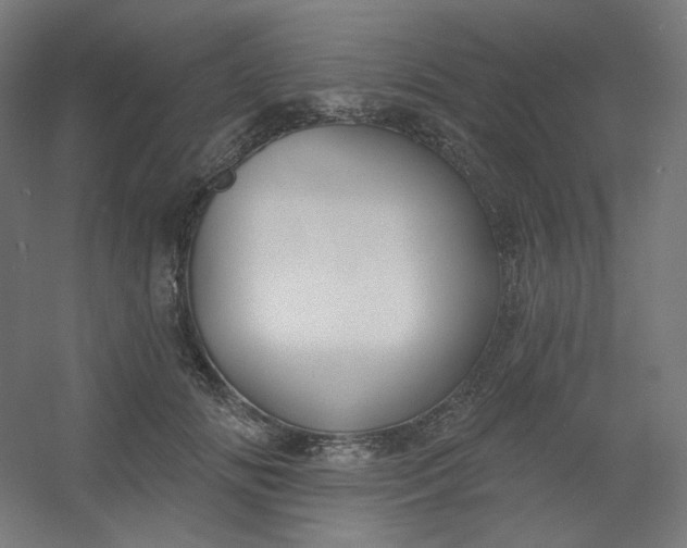 X0000054360702200508121514