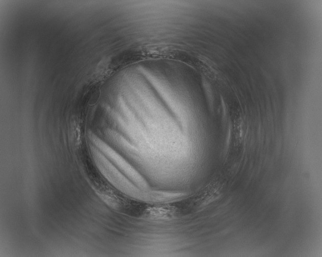 X0000054360703200508121514