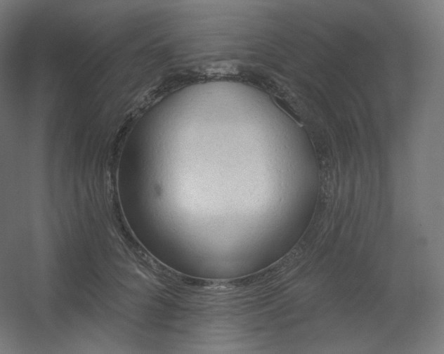 X0000054360704200508121514