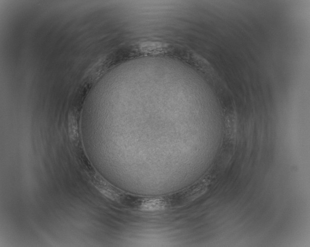 X0000054360705200508121514