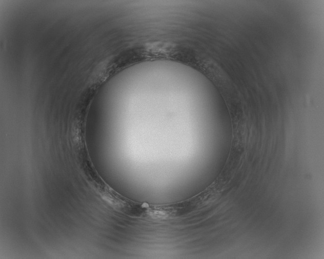 X0000054360706200508121514