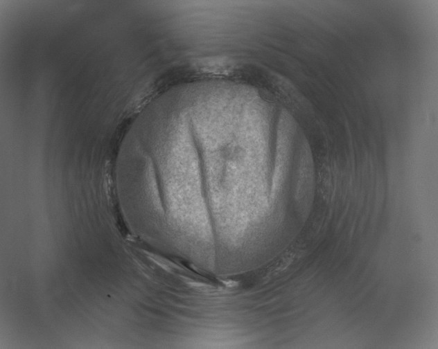 X0000054360707200508121514