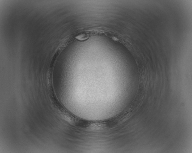 X0000054360708200508121514