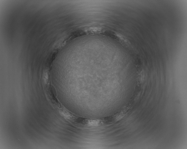X0000054360709200508121514