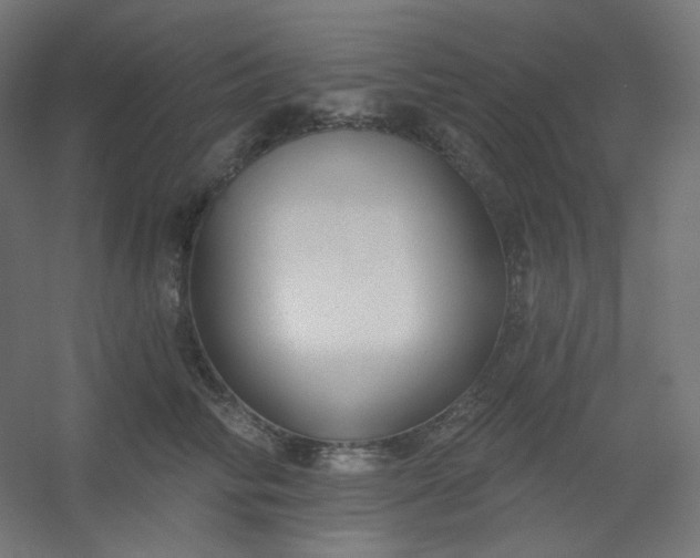 X0000054360710200508121514