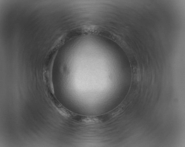 X0000054360712200508121514